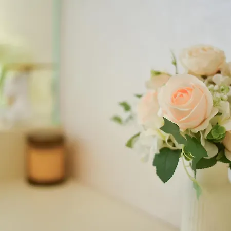 Casa Novi Dorcol Apartman *